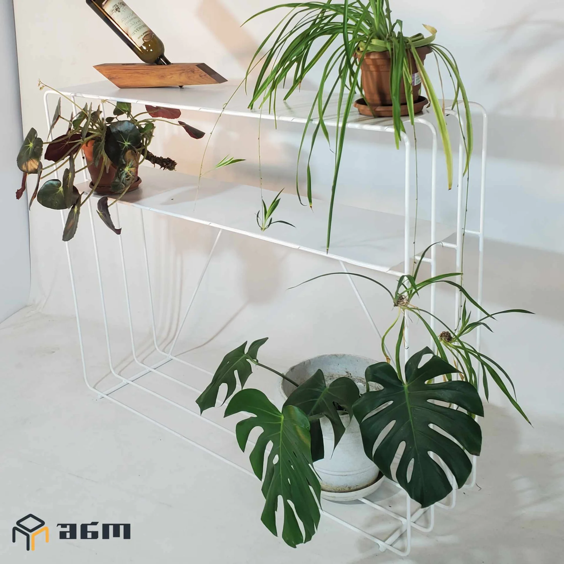 სტელ-5 თეთრ